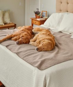 Modishnook.shop966d001712 2