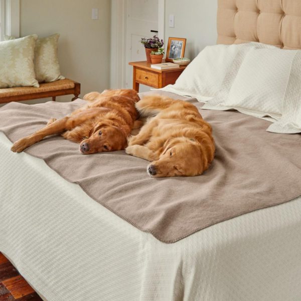 Modishnook.shop966d001712 2