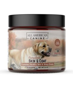 Modishnook.shop981ae70262 1