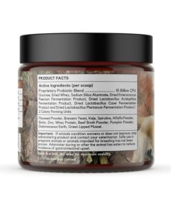 Modishnook.shop981ae70262 2