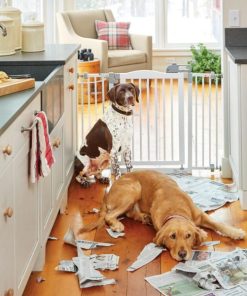 Modishnook.shop9a8b714641 2