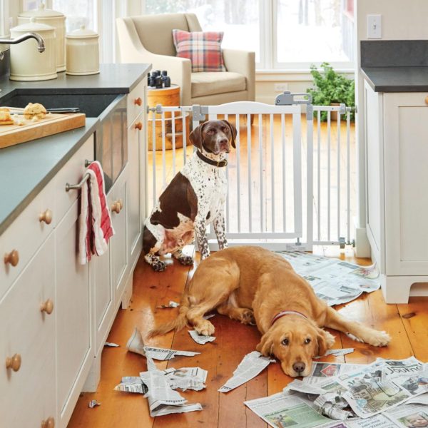 Modishnook.shop9a8b714641 2