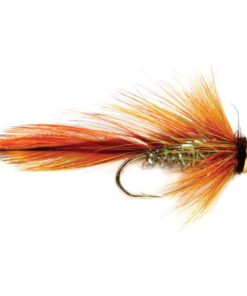 Modishnook.shop9c8d4dfaf0 1