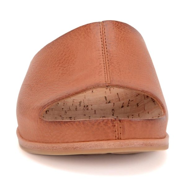 Modishnook.shop9e5a98ab8e 2