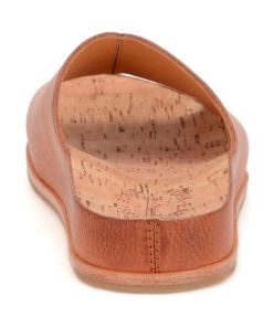 Modishnook.shop9e5a98ab8e 5