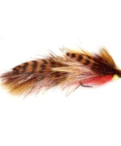 Modishnook.shop9f238120e6 1