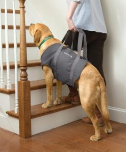 Modishnook.shop9f81e18fec 1