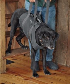 Modishnook.shop9f81e18fec 2