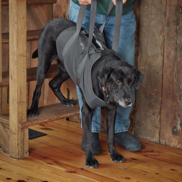 Modishnook.shop9f81e18fec 2