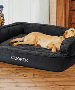 Modishnook.shop9fc917f13b 3