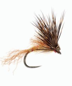 Modishnook.shopa1d8459193 1