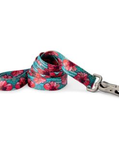 Modishnook.shopa248b2e6f9 1