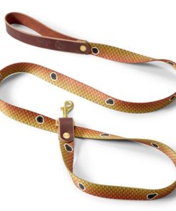 Modishnook.shopa5747850e6 1