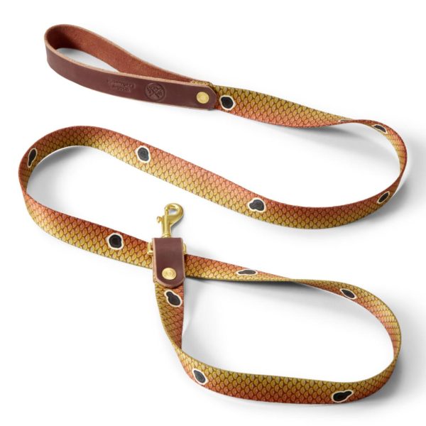 Modishnook.shopa5747850e6 1