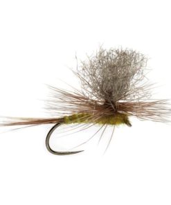 Modishnook.shopa9602ad649 1