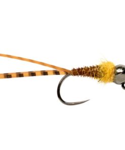 Modishnook.shopab6835032c 1