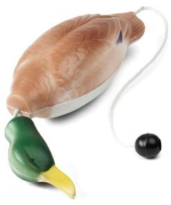 Modishnook.shopae060d8df9 1