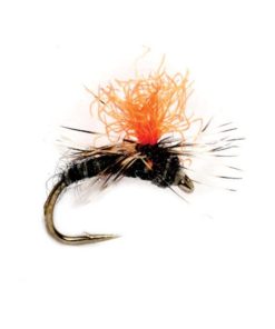 Modishnook.shopb0023cafad 1