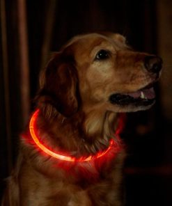 Modishnook.shopb28ad38d3e 1