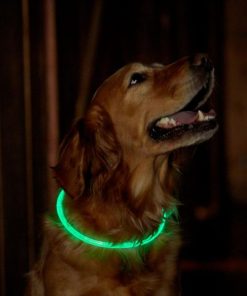 Modishnook.shopb28ad38d3e 3