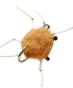 Modishnook.shopb56cddbe62 1