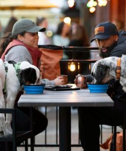 Modishnook.shopba51111849 3