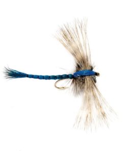 Modishnook.shopbb63f84ea9 1