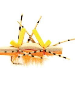 Modishnook.shopbb83a8811c 1