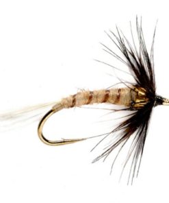 Modishnook.shopbbfaf01f7b 1