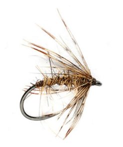 Modishnook.shopbe5c6e1c84 1