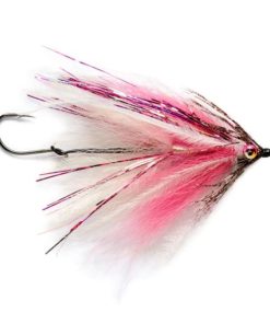 Modishnook.shopbf6f31ece5 1