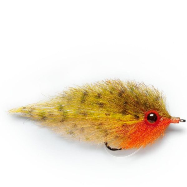 Modishnook.shopbf79b5219e 1