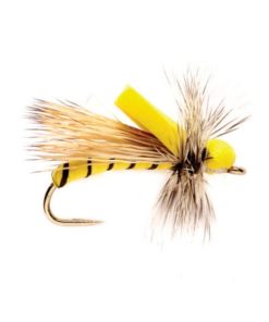 Modishnook.shopc257caaa54 1