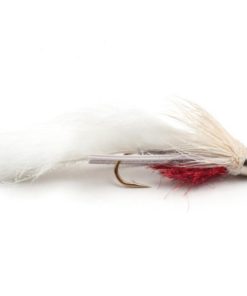 Modishnook.shopc4934418d5 1