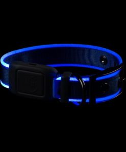 Modishnook.shopc4cccce9ae 2