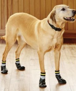 Modishnook.shopc567a7005f 1