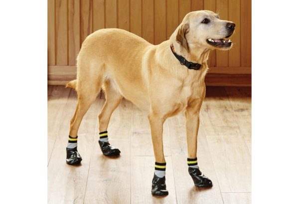 Modishnook.shopc567a7005f 1