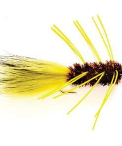 Modishnook.shopc5b35da018 1