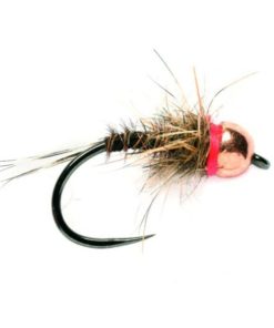 Modishnook.shopc5c8d8b5eb 1