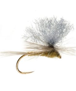 Modishnook.shopc69ace540c 1