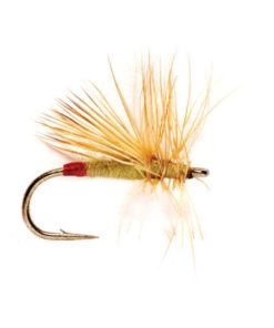 Modishnook.shopc7bb250ec4 1