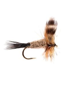 Modishnook.shopc8ca7c7a12 1