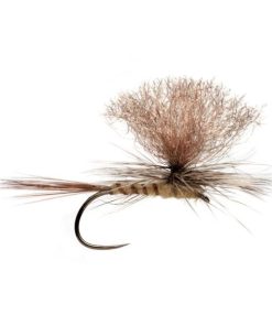 Modishnook.shopc9e0bf49db 1