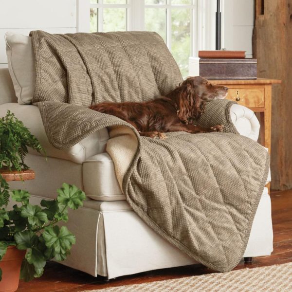 Modishnook.shopcb6d9d8f01 1