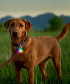 Modishnook.shopcbec527ce3 1