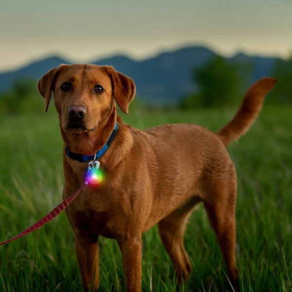 Modishnook.shopcbec527ce3 1