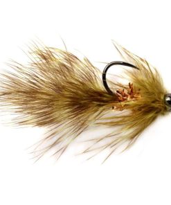 Modishnook.shopcd7fe2f8a9 1