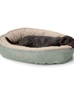 Modishnook.shopcdcba4cb77 1