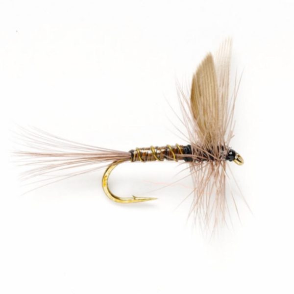 Modishnook.shopce2d9fa08e 1