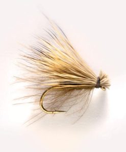 Modishnook.shopd1e6d76e66 1